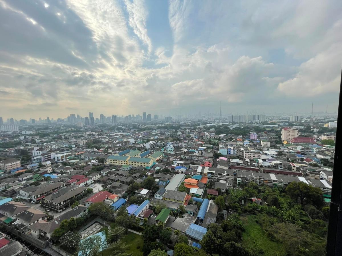 เดอะ ทรี อินเตอร์เชนจ์ [The Tree Interchange]